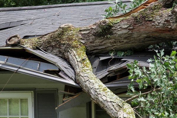 Storm Remediation in Greensboro