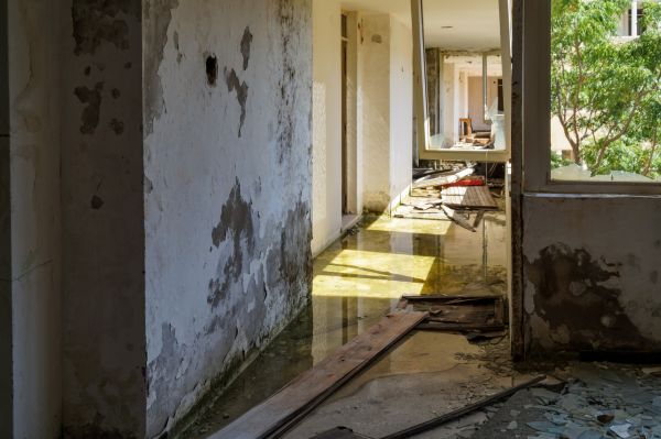 Cost of Water Removal Service in Greensboro
