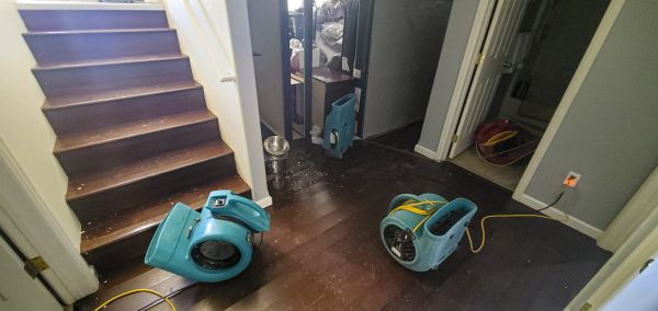 Water Damage Remediation in Greensboro