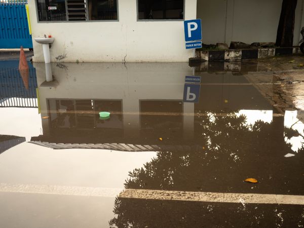 Cost of Storm Damage Repair in Greensboro