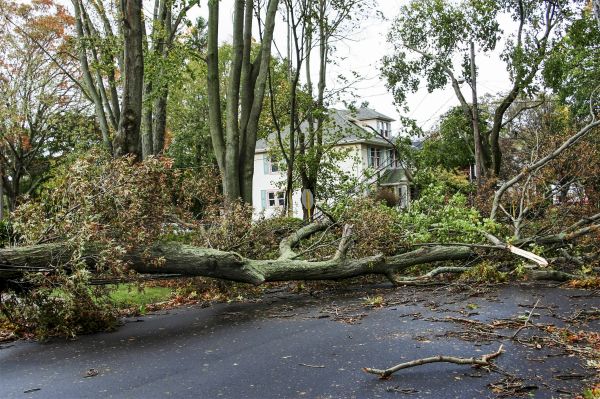 Tornado Damage Repair in Greensboro
