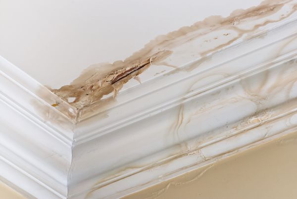 Water Damage Recovery in Greensboro